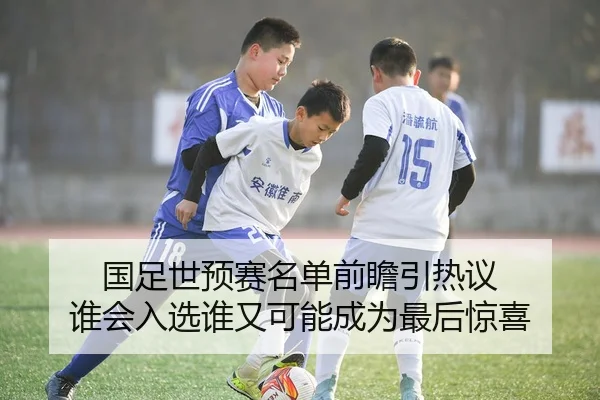 国足世预赛名单前瞻引热议 谁会入选谁又可能成为最后惊喜（ogzhenren）